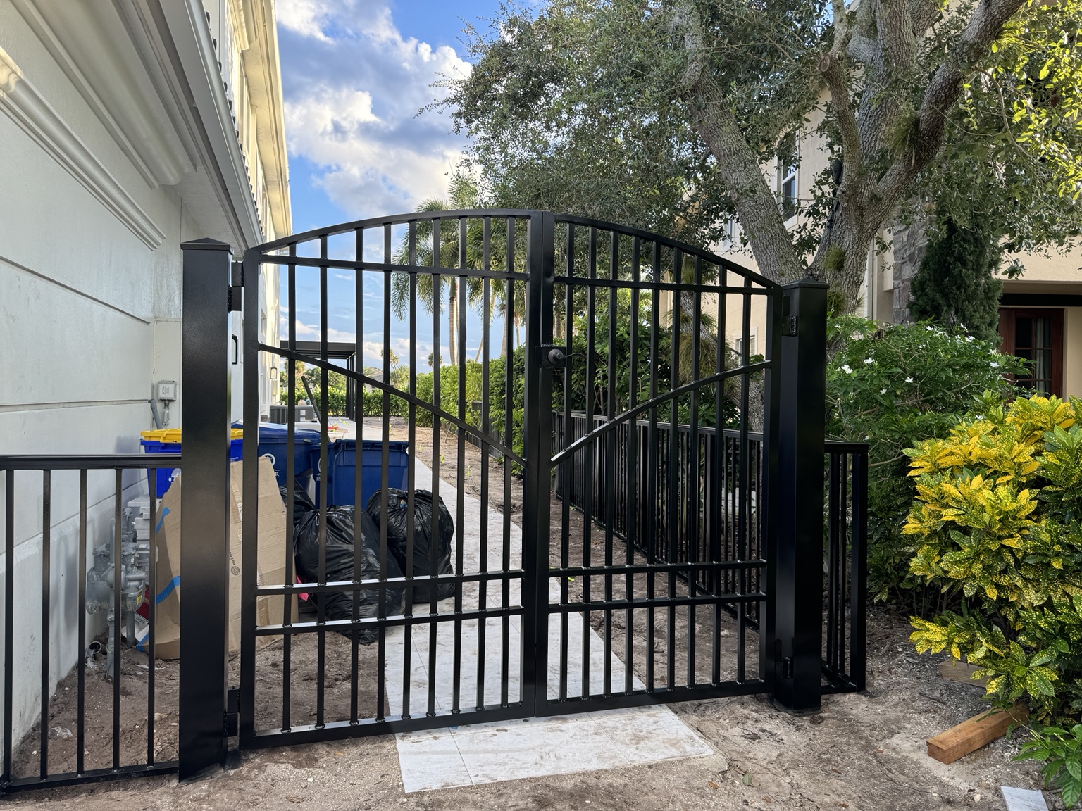Recent Caelix project