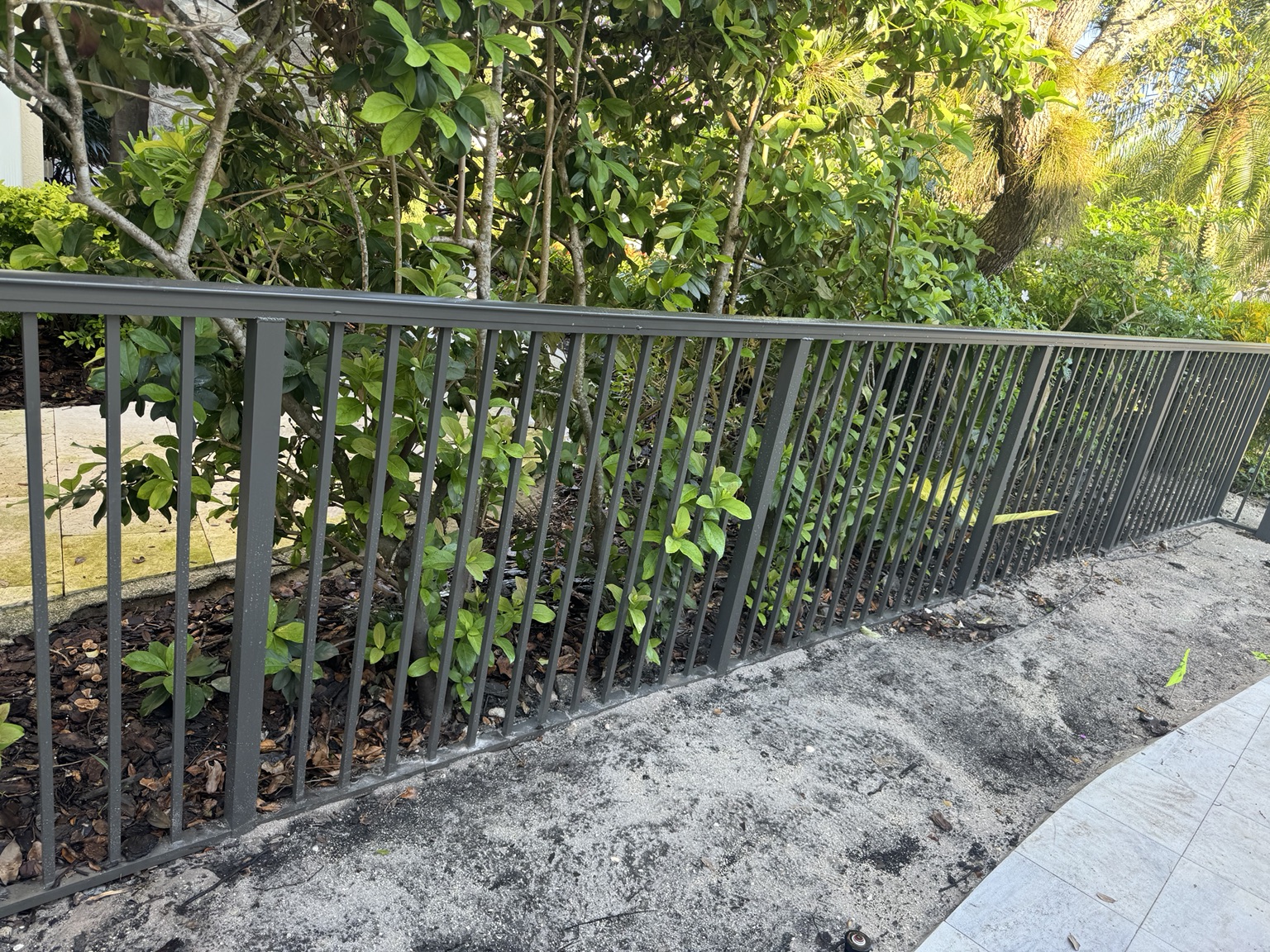 Recent Caelix project