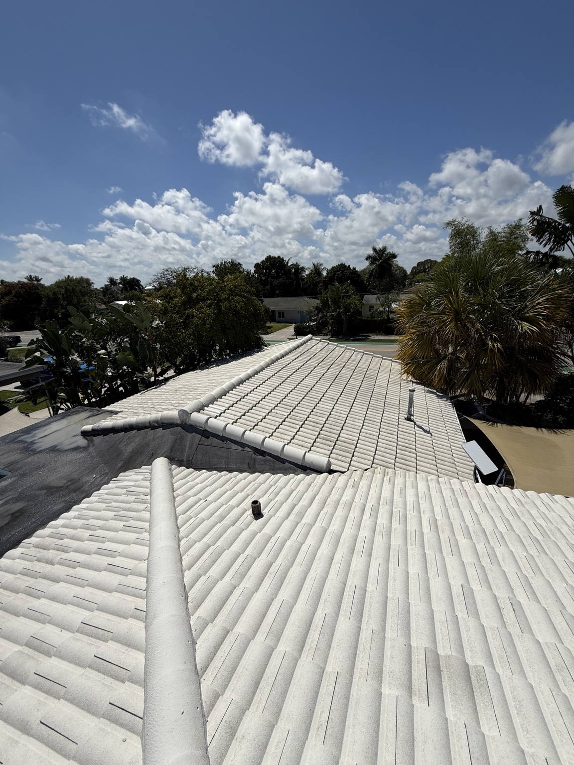 Roof Coating project photo 3