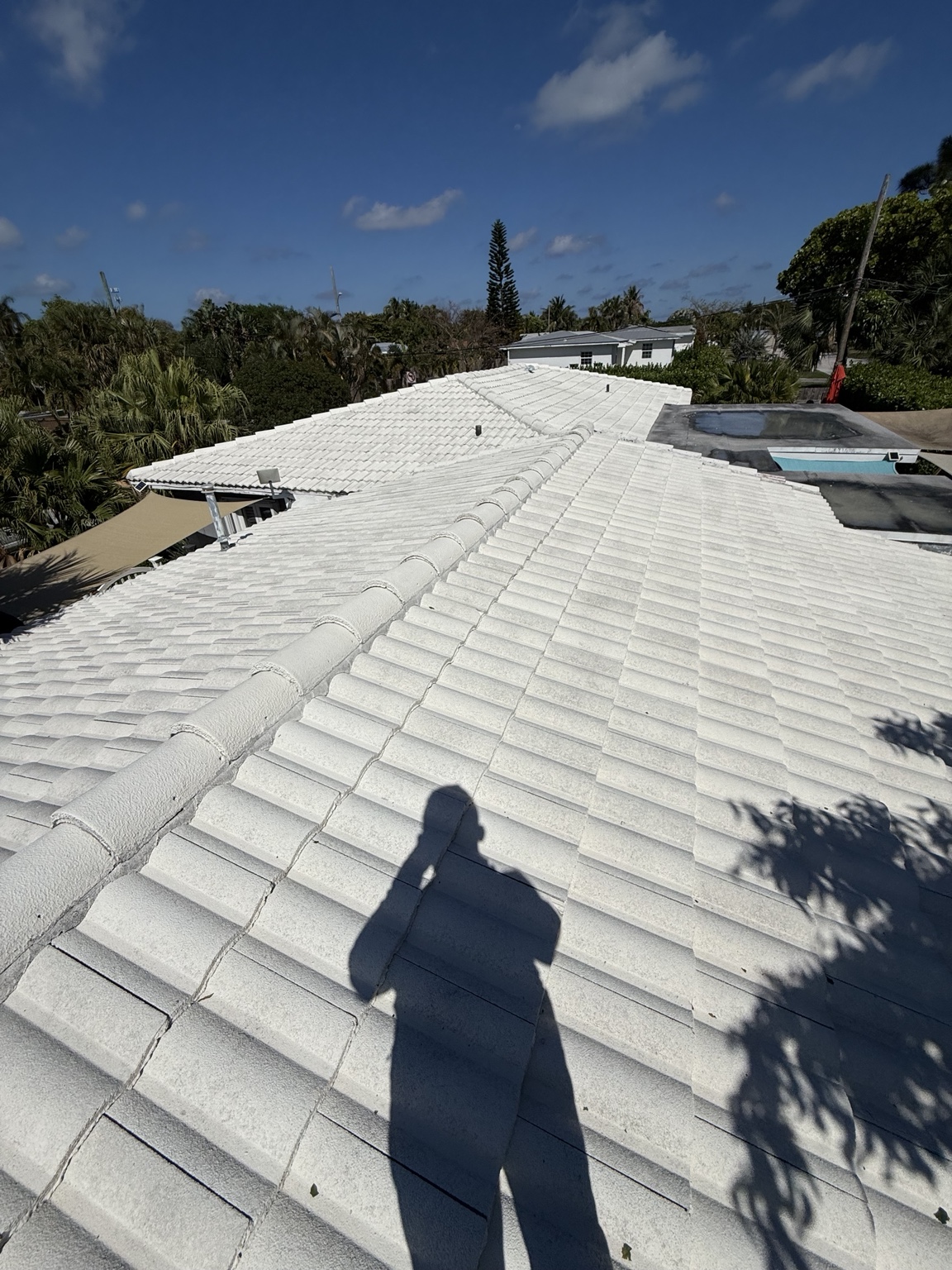 Roof Coating project photo 4